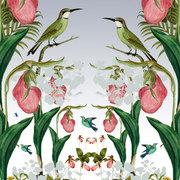 Zupi-pageb_card