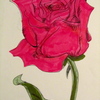 Img_0556_thumb