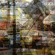 Ground_cover_5_-_storage_card