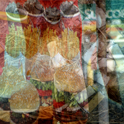 Ground_cover_2_-_fries_card