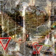 Ground_cover_1_-_give_way_card