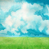 Rice_fileds_and_clouds_thumb