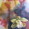 Orchid_abstraction_s_thumb