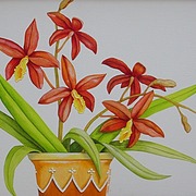 Pottedredorchid16x20_card