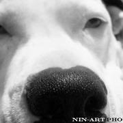 Img_3572__640x360___2__card