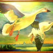 Birds_of_flight_painting_card
