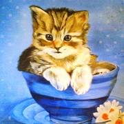 Painting_card