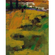 Pastures_2010-06-12_at_4