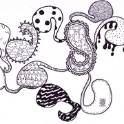 Paisley_like_may_5_card
