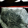 Baltik_100x80_2010_wendel_thumb