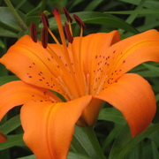 Img_5163_card