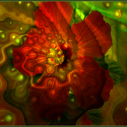 Come_back_as_a_flower_card