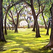 Descanso_underwoods-c_6-13-10_card