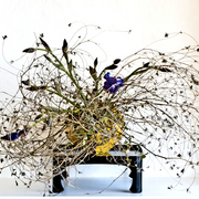 Ikebana-085x_card
