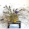 Ikebana-085x_thumb