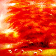 Mua_gat_120120_red_card