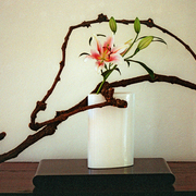 Ikebana-030a_card