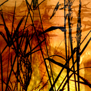 Mill_2
