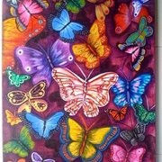 Mariposas_card