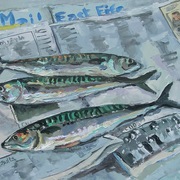 Efm_mackerel2_card