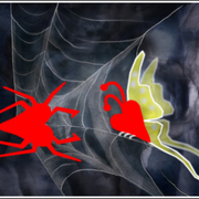 Spider_love_card