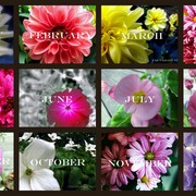 Flowers_card