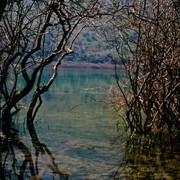 Lake_card