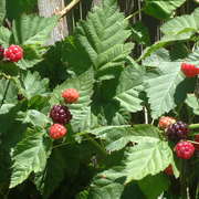 Dscf0018_card