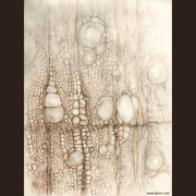 Celltemp_card