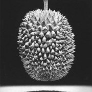 Durian1_card