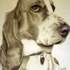 Annabel_thumb