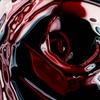 Rose_l_thumb