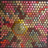 Dscf1478_thumb