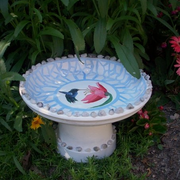 Bird_bath_card