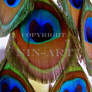 Img_3956_card