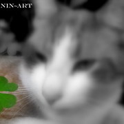 Img_3971_card