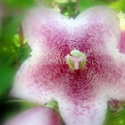 Img_3995_card