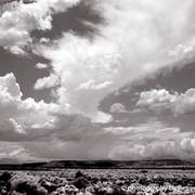 Wukoki-img_0065-bw-post_card