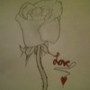 Rose_of_love_thumb