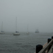Fog_for_site_card