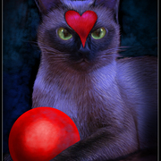 Feline_card