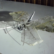 Cimg1208_card