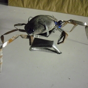 Cimg1229_card