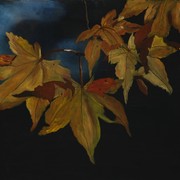 Img_4989_card