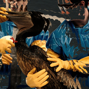 4731168191_f7719e124a_b