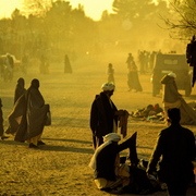 Gold_dust__herat__afghanistan_card