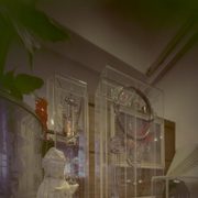 Vincent10_card