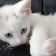 Dsc02444_card