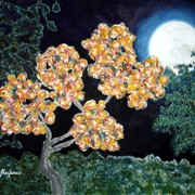 Nocturno_andaluz_card