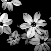 156203-11-the-end-begins_watermark_card
